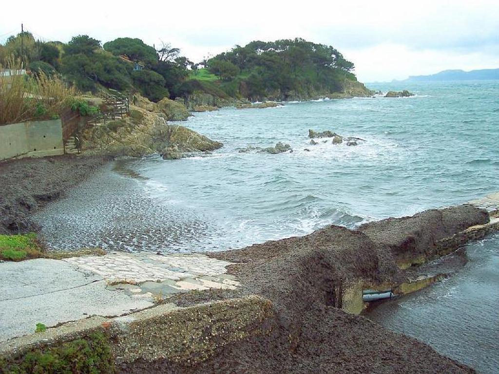 183 D18 PRESQU ILE DE GIENS 1_000023.jpg